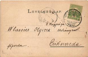 1905 Segesvár, Schässburg, Sighisoara; Látkép télen. Fritz Teutsch kiadása / view in winter (EM)