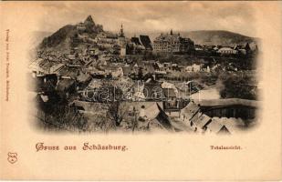 Segesvár, Schässburg, Sighisoara; Totalansicht / látkép. Fritz Teutsch / view