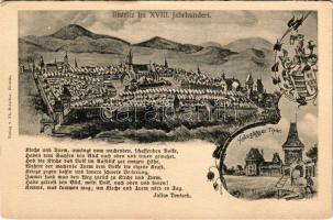 Beszterce, Bistritz, Bistrita; A 18. században. Th. Botschar kiadása / Bistritz im XVIII. Jahrhundert, Holzgässer Tor / Bistrita in the 18th century, city gate. Art Nouveau (EK)