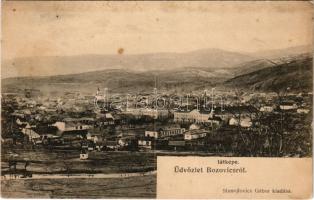 1908 Bozovics, Bozovici; látkép. Stanojlovics Gábor kiadása, Dajkovits J. utóda / general view (fl)