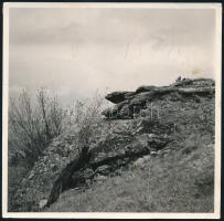 Ifj. Tildy Zoltán (1917-1994) természetfotója, a hátoldalon feliratozott fotó, 18x18 cm