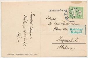 1915 Rézbánya, Baita; Üdvözlet a Fekete Körös eredettől / Origin of the Körös River (EK)