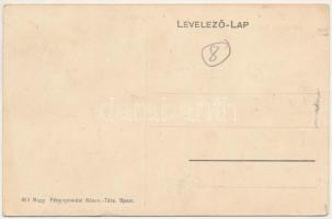 Borló, Borlova; Régi határszéli iskola, Községház, jegyzői lak, Ványoló malom / school, town hall, n...