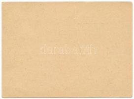 1942. Névre szóló, kitöltött viselői igazolvány a Délvidéki Emlékéremhez, a "M. Kir. VIII. Honv...