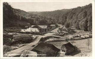 Magyarlápos-Erzsébetbánya mine Leorda sawmill photo