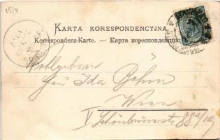 1904 Ivano-Frankivsk, Stanislawów, Stanislau; Ulica Slowackiego / Slowackigasse / street view, villa...