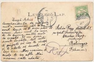 Ópálos, Ó-Pálos, Ópaulis, Paulis (Arad-Hegyalja); Vaja villa, Baraczka. Mladin János kiadása / villa...