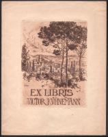 Conrád Gyula (1877-1959): Ex libris Victor Kühnemann. Rézkarc, papír, jelzett a karcon, apró lapszéli szakadással, 17×13 cm