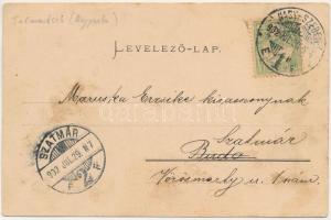 1902 Nagytalmács, Talmács, Talmaciu, Talmatsch (Szeben); vasúti híd. Drotleff Jos. fénynyomása / rai...