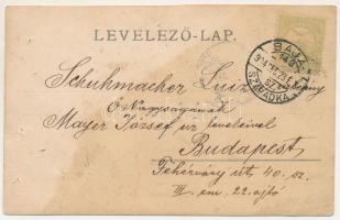 1904 Bácsbokod, Bikity-Borsód vasútállomás (Bácsbokod-Bácsborsód), vasutasok. photo + "BAJA - S...