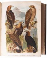 Holodkovszkij, N. A. - Szilantyjev, A. A.: Európa madarai. Gyakorlati ornitológia az európai madarak...