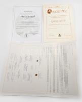 2005 Emléklap Grétsy László részére a Simonyi Zsigmond helyesírási verseny Kárpát-medencei döntőjéne...