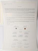 2005 Emléklap Grétsy László részére a Simonyi Zsigmond helyesírási verseny Kárpát-medencei döntőjéne...