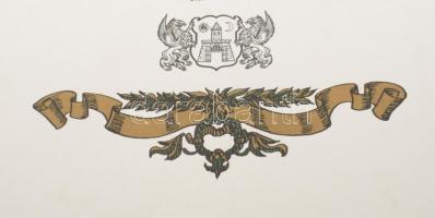 2015 Belváros-Lipótváros Budapest Főváros V. kerületi Önkormányzat oklevele Érdemkereszt adományozás...