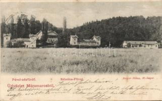 Máramarossziget Pável-sósfürdő and Szlatina-füred