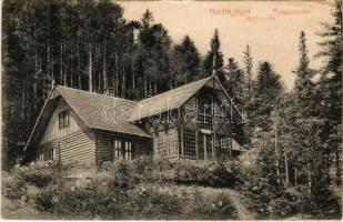1917 Barlangliget, Höhlenhain, Tatranská Kotlina (Tátra, Magas-Tátra, Vysoké Tatry); Mária-villa. Wlaszlovits G. kiadása / villa (EB)
