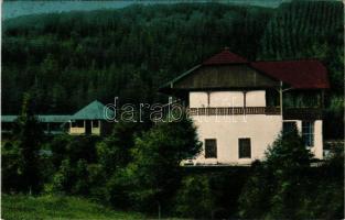 1940 Maroshévíz, Oláhtoplica, Toplita, Toplica; Bánffy-fürdő, Dezső villa, szálloda / spa hotel + "M. KIR. MOZGÓPOSTA 117" vasúti mozgóposta bélyegző (fl)