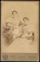 1896 Két elegáns fiatal hölgy portréja, kabinetfotó Elbl és Pietsch udvari fényképészek budapesti műterméből, díszes millenniumi verzóval, kissé viseltes, 16,5x10,5 cm