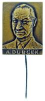 Csehszlovákia DN "Alexander Dubcek" bronz lemezjelvény, függőleges tűvel (23x30mm) T:AU