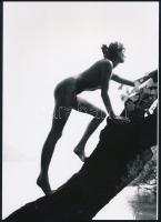 Fára mászó hölgy akt fotó, modern nagyítás, 18x12,5 cm