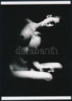 Stúdió akt fotó, modern nagyítás, 18x12,5 cm