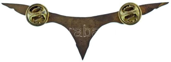 DN "H.K.U." repülős festett bronz kitűző (85x30mm) T:AU
