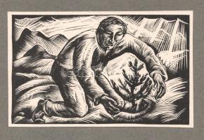 Schatz, Otto Rudolf (1900-1961): Faültető. Fametszet, papír, jelzés nélkül, papírra kasírozva, paípr alján feliratozott, 9x15 cm