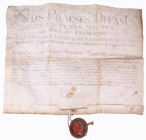 1841 A Pesti Királyi Tudományegyetem által kiállított orvosi (sebész) diploma Kementzky József részére, Gebhardt Xavér Ferenc (1791-1869) és Rupp János (1808-1881) aláírásával, hiányos függőpecséttel, viseltes, foltos, 45x62 cm