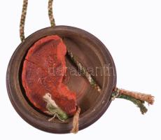 1841 A Pesti Királyi Tudományegyetem által kiállított orvosi (sebész) diploma Kementzky József részé...