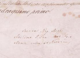 1841 A Pesti Királyi Tudományegyetem által kiállított orvosi (sebész) diploma Kementzky József részé...