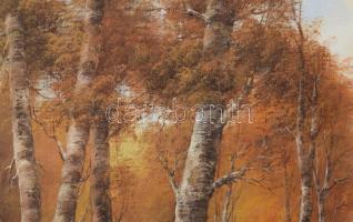 Fehérvári Károly (XX. sz. vége): Táj. Olaj, vászon. Jelzett. Fakeretben. 50x70 cm