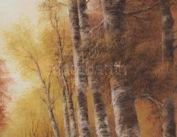 Fehérvári Károly (XX. sz. vége): Táj. Olaj, vászon. Jelzett. Fakeretben. 50x70 cm
