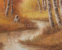 Fehérvári Károly (XX. sz. vége): Táj. Olaj, vászon. Jelzett. Fakeretben. 50x70 cm