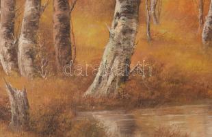 Fehérvári Károly (XX. sz. vége): Táj. Olaj, vászon. Jelzett. Fakeretben. 50x70 cm