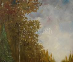 Rónai Antal (1926- ): Tavaszi út. Olaj, farost, jelzett. Dekoratív fakeretben. 60x80 cm