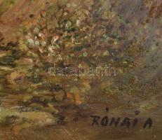 Rónai Antal (1926- ): Tavaszi út. Olaj, farost, jelzett. Dekoratív fakeretben. 60x80 cm