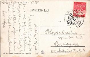 1917 Mohács, Perényiné a mohácsi csatatéren. Blandl János kiadása + "MOHÁCS - VILLÁNY 338"...