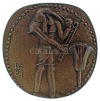 Ligeti Erika (1934-2004.) 1981. "CONGRSSUS INTERNATIONALIS HISTORIAE PHARMACIAE BUDAPEST MCMLXXXI" "Nemzetközi Gyógyszerésztörténeti Kongresszus" kétoldalas, öntött bronz emlékérem (~55mm) T:AU