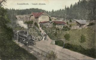 Tusnádfürdő railway station (b)