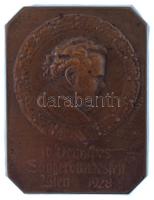 Ausztria / Bécs 1928. "10. Német Szövetségi Énekverseny Bécsben" bronz lemezjelvény "J.TAUTENHAYN - HAUPTMÜNZAMT WIEN" gyártói jelzéssel (40x31mm) T:XF  Austria / Vienna 1928. "10th German Federal Singing Competition in Vienna (10. Deutsches Sängerbundfest Wien)" bronze badge with makers mark "J.TAUTENHAYN - HAUPTMÜNZAMT WIEN" (40x31mm) C:XF