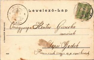 1905 Nagyvárad, Oradea; Látkép, új városház, piac. Sonnenfeld A. kiadása / town hall, market (fl)