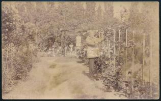 1918 Kézdi-Kovács László (1864-1942) festőművész, műkritikus autográf , saját rómaifürdői kertjét ábrázoló fotólapja Sárdy Brutusné Kézdi-Kovács Lenkéhez, Sárdy Brutus állomáshelyére