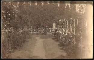 1918 Kézdi-Kovács László (1864-1942) festőművész, műkritikus autográf , saját rómaifürdői kertjét ábrázoló fotólapja Sárdy Brutusné Kézdi-Kovács Lenkéhez, Sárdy Brutus állomáshelyére