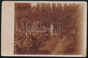 1914 Kézdi-Kovács László (1864-1942) festőművész, műkritikus autográf , saját rómaifürdői kertjét áb...