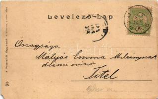 1905 Nagyvárad, Oradea; Látkép, üzletek. A. Sonnenfeld kiadása / view (EM)