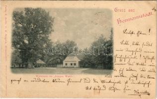1899 Nagyszeben, Hermannstadt, Sibiu; Erdei vendéglő / Wirtshaus im Jungen Walde / Restaurant in Padurea Dumbrava. G.A. Seraphin, Jos. Drotleff (vágott / cut)