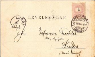 1898 Nagyszeben, Hermannstadt, Sibiu; Haushaltungsschule / háztartási iskola / women's housekee...