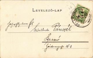 1907 Szebenjuharos, Hohe Rinne, Paltinis (Nagyszeben, Sibiu); Zibinsklamm, Brücke über den Valare Ba...