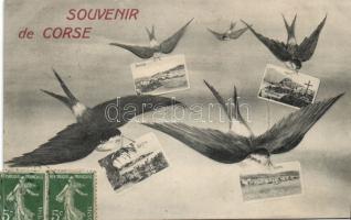Corsica, Corse; Greeting card from Ajaccio, Sartene, Corte, Bastia; swallows
