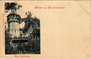 Nagyszeben, Hermannstadt, Sibiu; Alter Stadtthurm. Verlag von A. von Palocsay / régi várostorony / old town tower (EB)